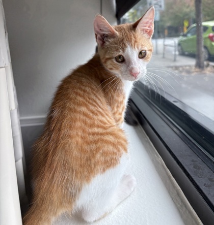 Photo of Simon