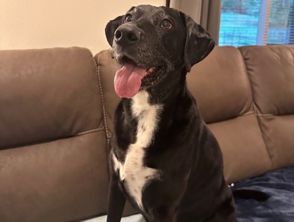 Cooper, 2