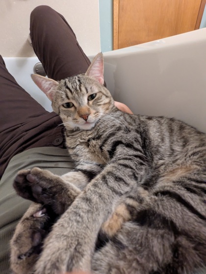 Bootsie, 3