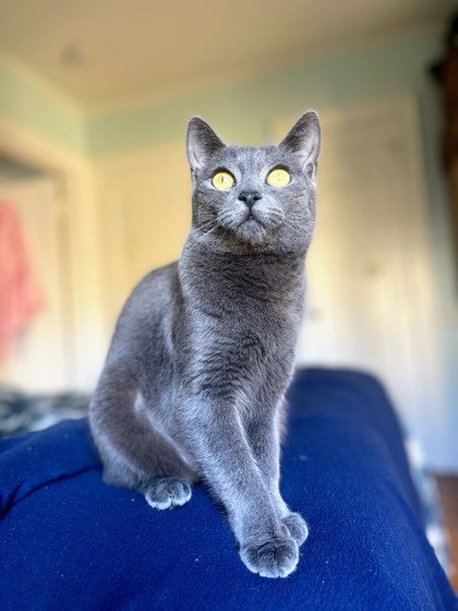 Gabby