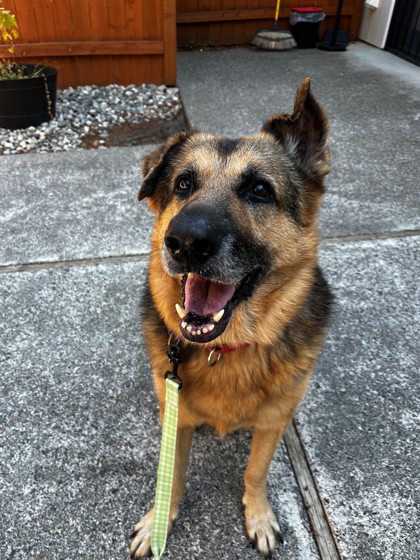 Max