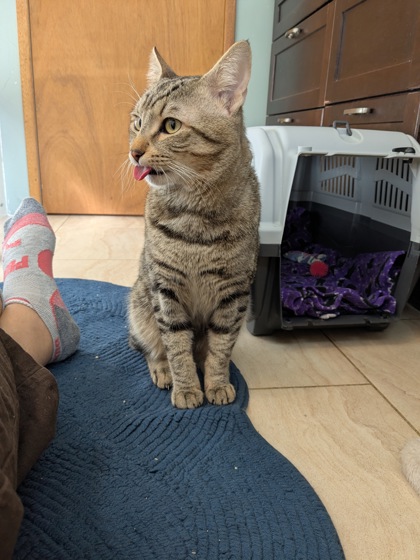 Bootsie, 2