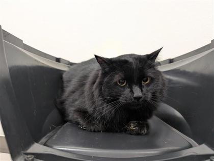 Photo of Tractor