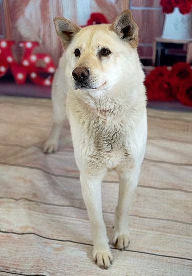 Romeo, 2