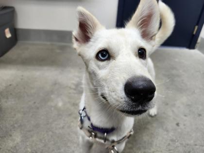 Luna