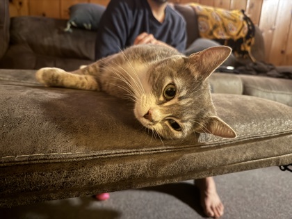 Atari