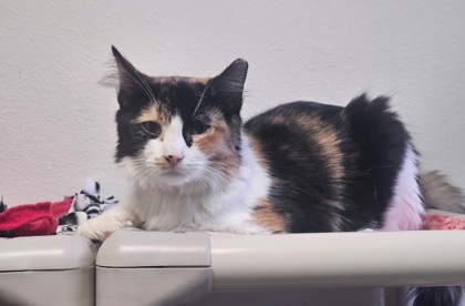 Sophie