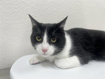 Tom