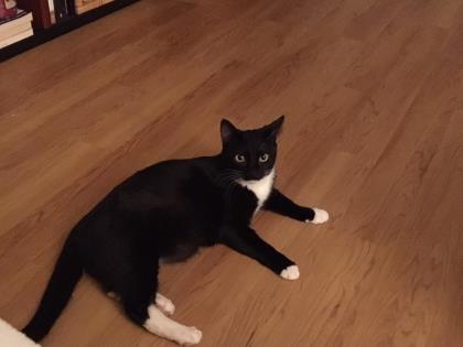 Luna, 3