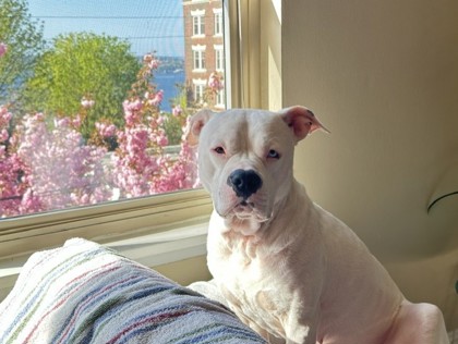 Rosie