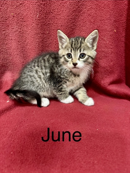 Photo of June