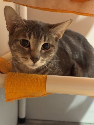 Photo of Wilma