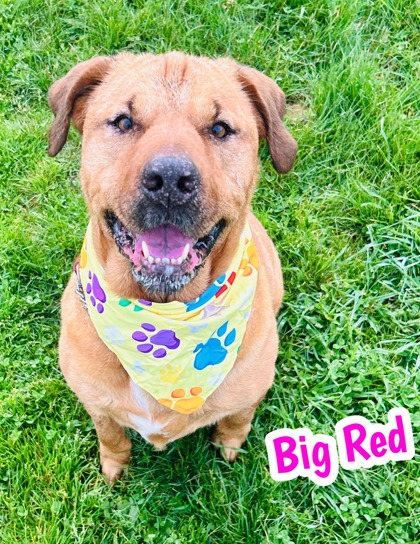 Photo of Big Red