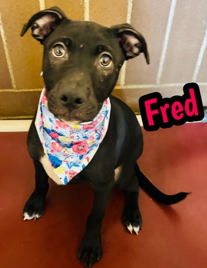 Photo of Fred