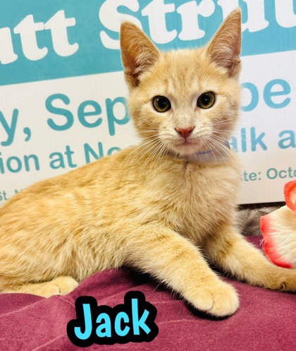 Photo of Jack
