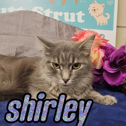 Photo of Shirley