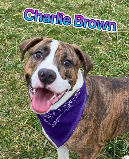 Photo of Charlie Brown