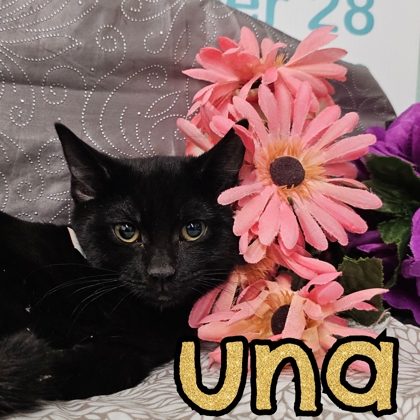 Photo of Una