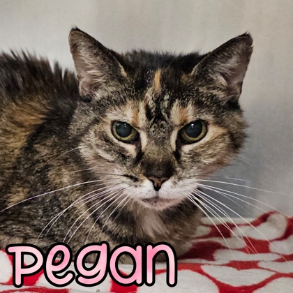 Photo of Pegan