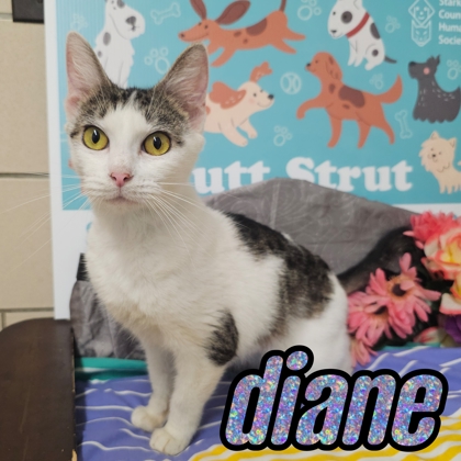 Photo of Diane