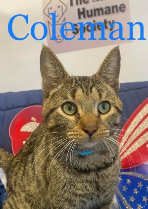 Photo of Coleman