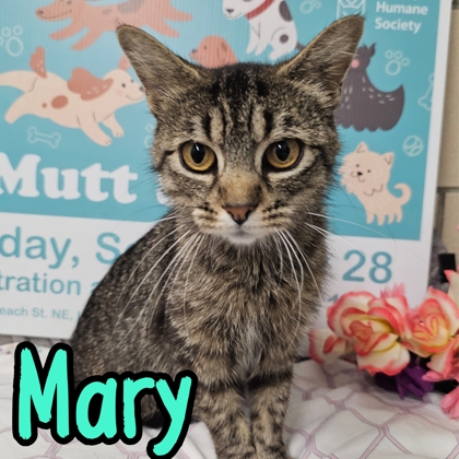 Photo of Mary