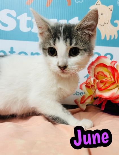 Photo of June