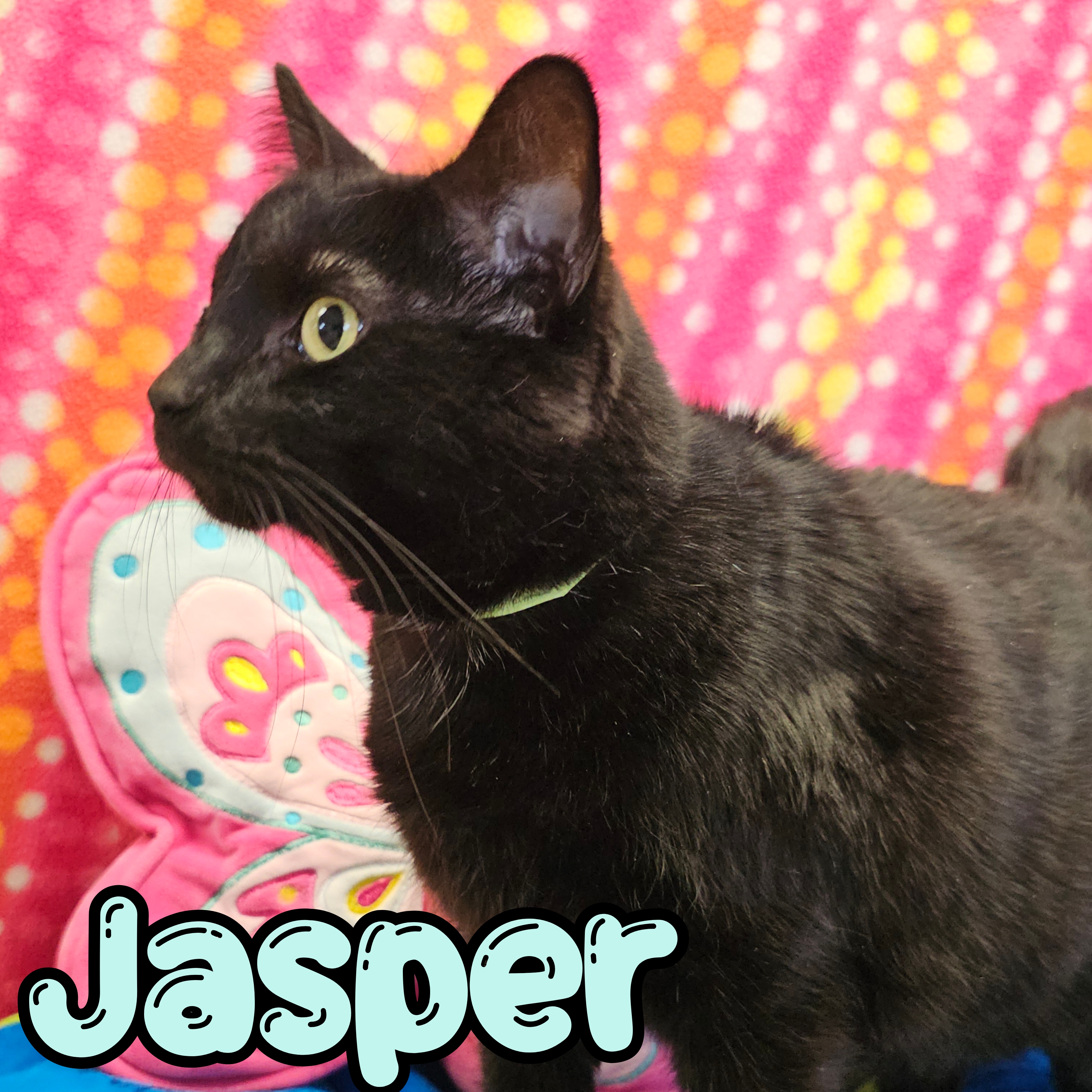 Photo of Jasper