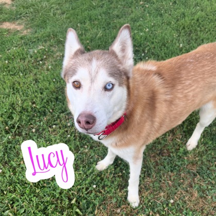 Photo of Lucy