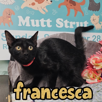 Photo of Francesca