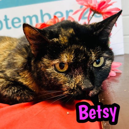 Photo of Betsy