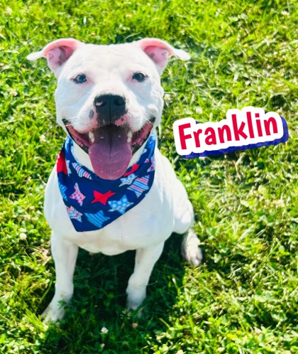 Photo of Franklin