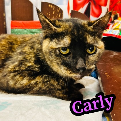 Photo of Carly