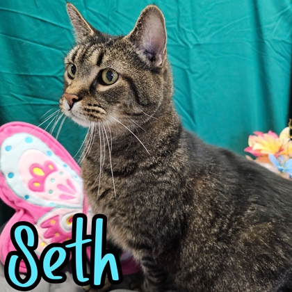 Photo of Seth