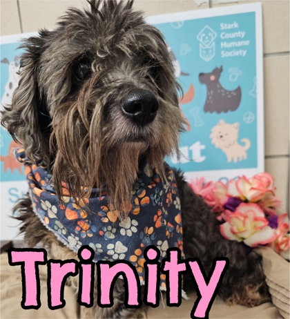 Photo of Trinity