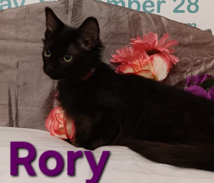 Photo of Rory