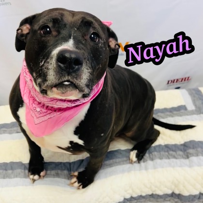 Photo of Nayah