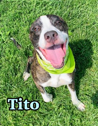 Photo of Tito