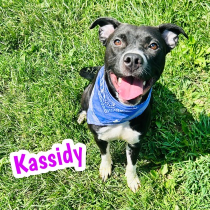 Photo of Kassidy