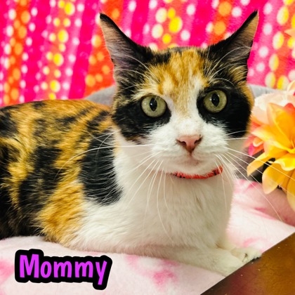 Photo of Mommy