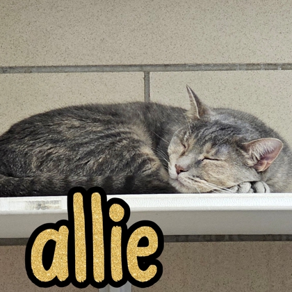Photo of Allie