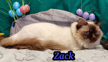 Photo of Zack