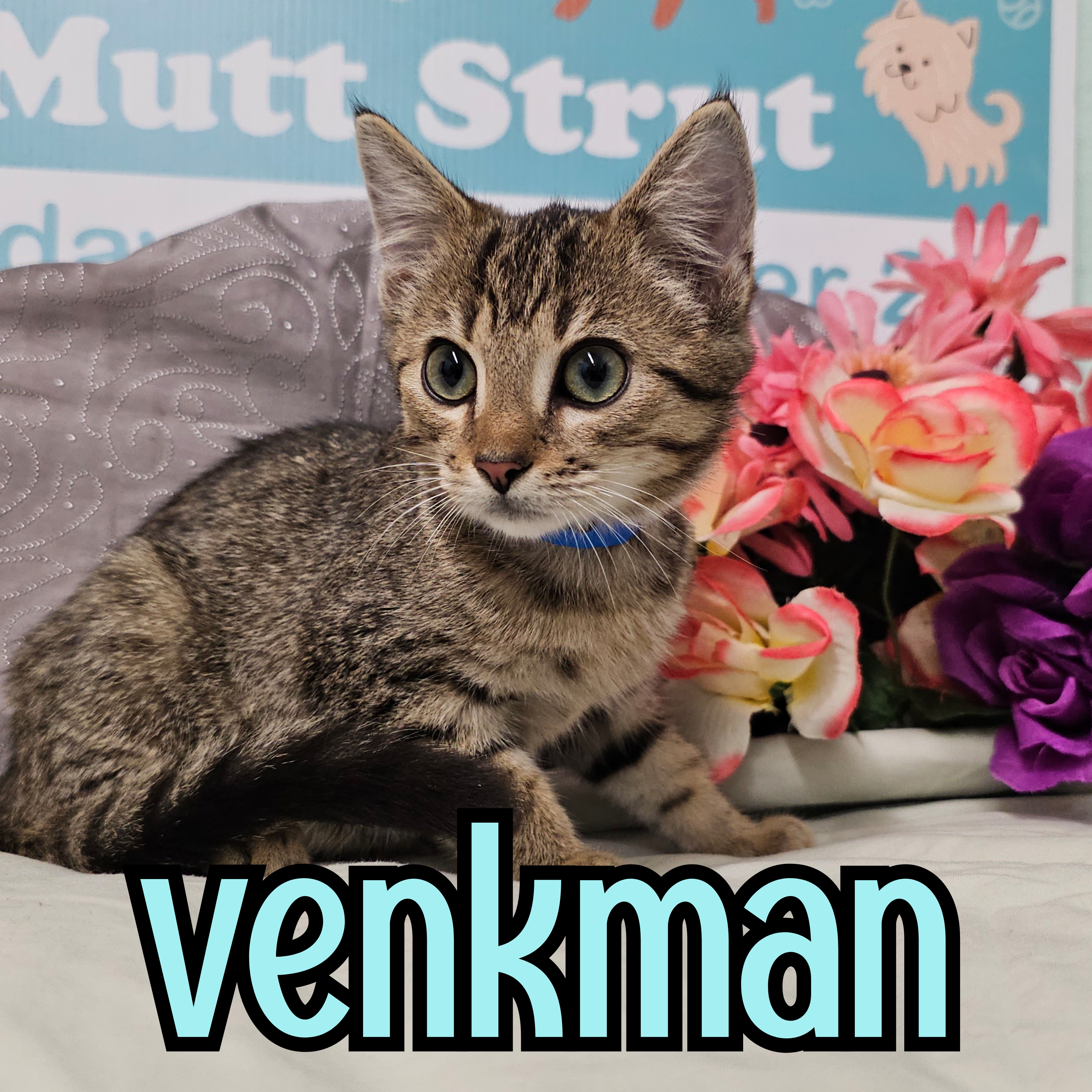 Photo of Venkman
