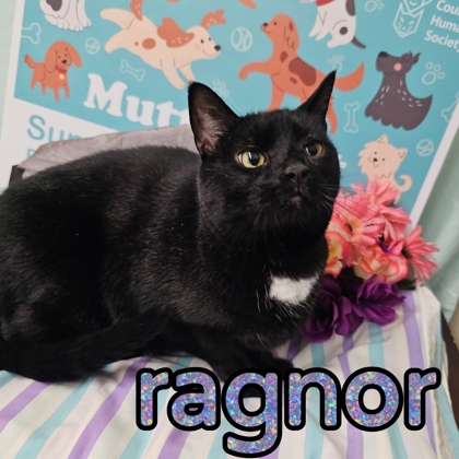 Photo of Ragnor