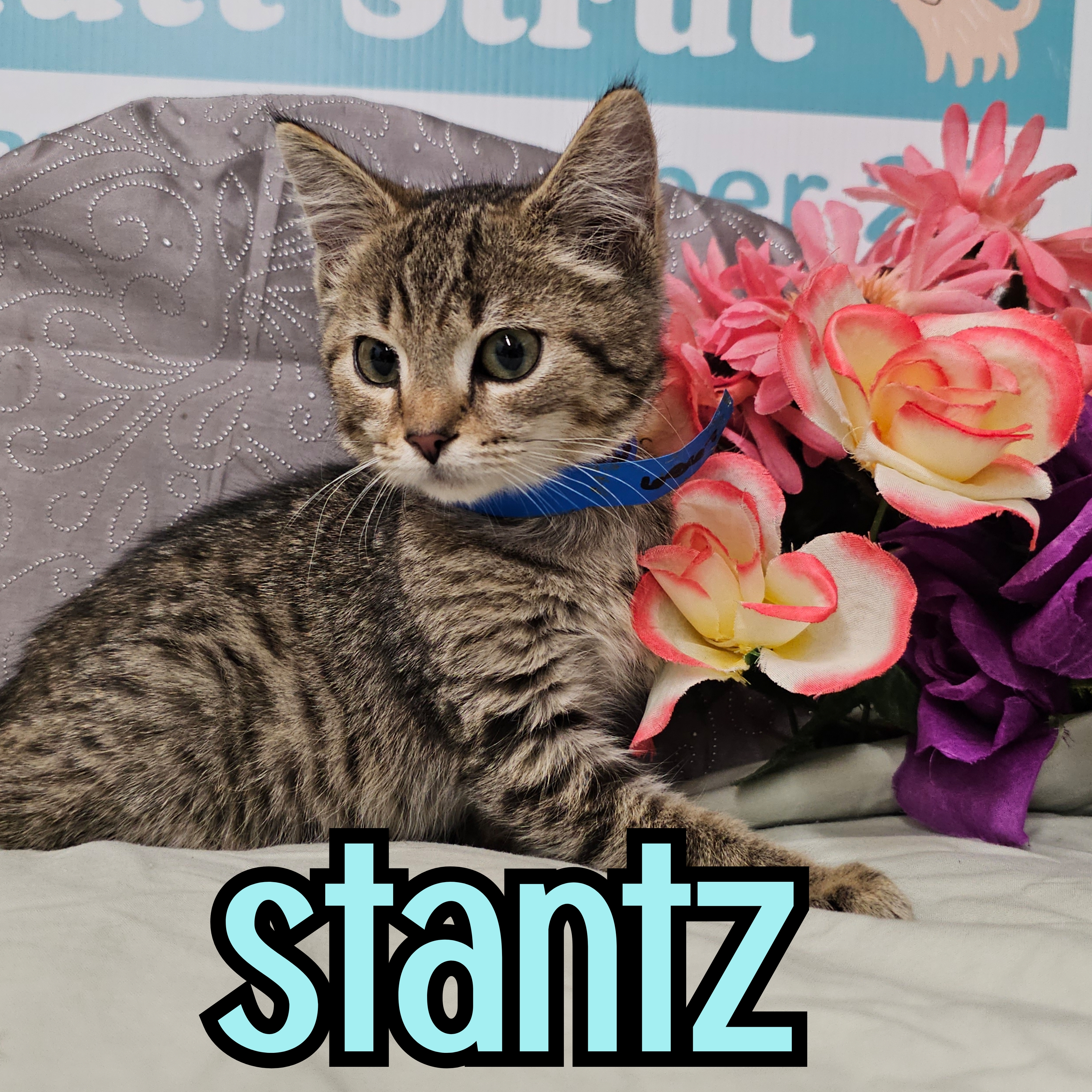 Photo of Stantz