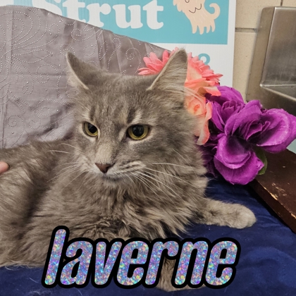Photo of Laverne