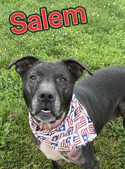 Photo of Salem
