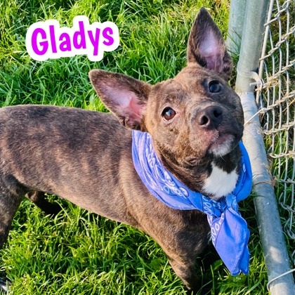 Photo of Gladys
