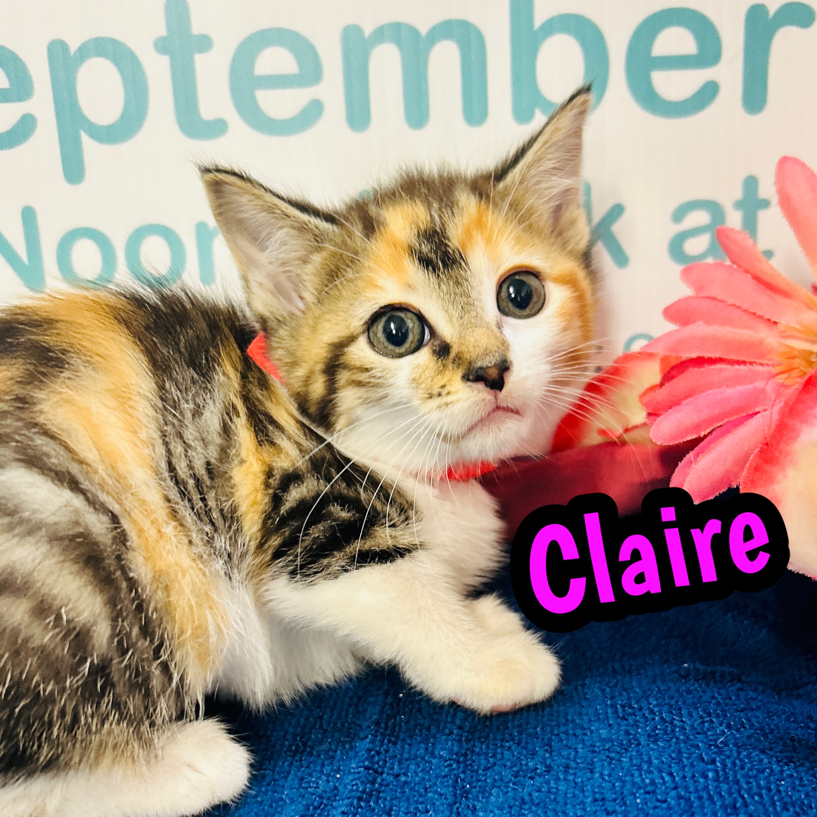 Photo of Claire