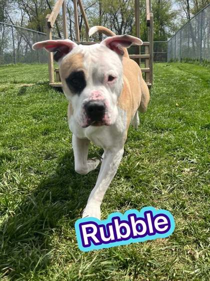 Photo of Rubble